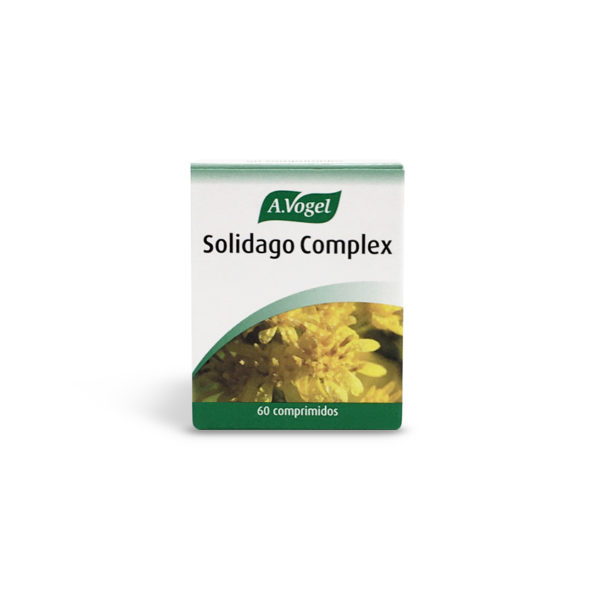 Solidago-Complex-A.Vogel