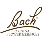 bach-logo
